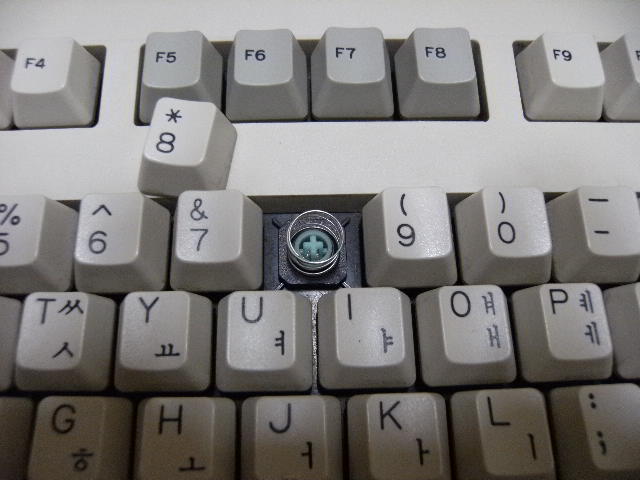 DSCF0931.JPG