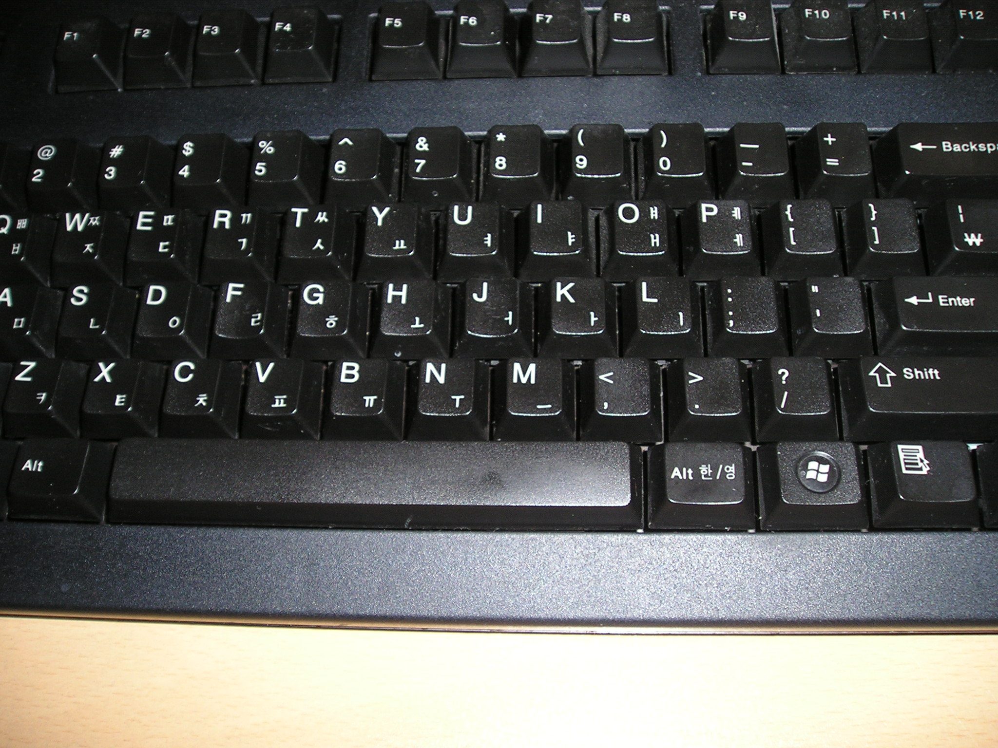 P1010053.JPG