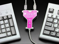 y_key.jpg