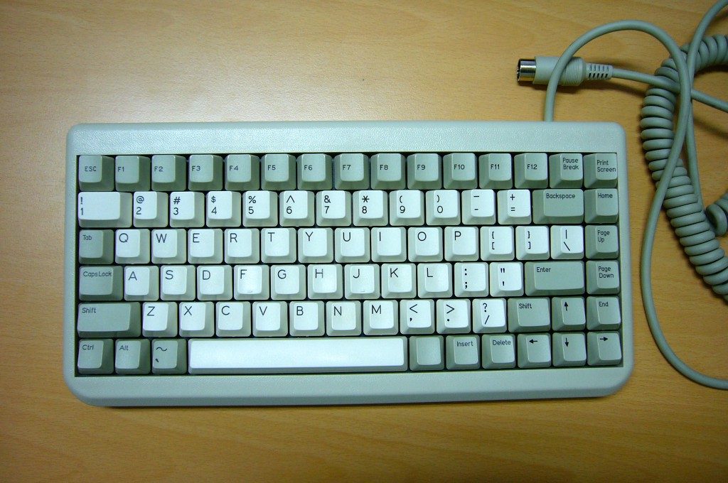 P1100729.JPG