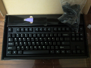 resized_resized_resized_Maje.jpg