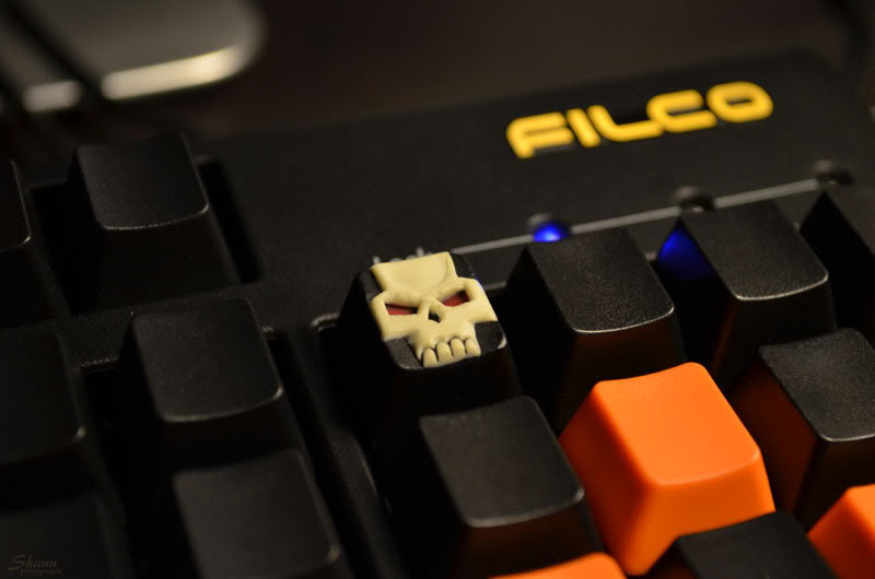 Skull.jpg : 이것저것 판매 및 교환 Skull.jpg : 이것저것 판매 및 교환