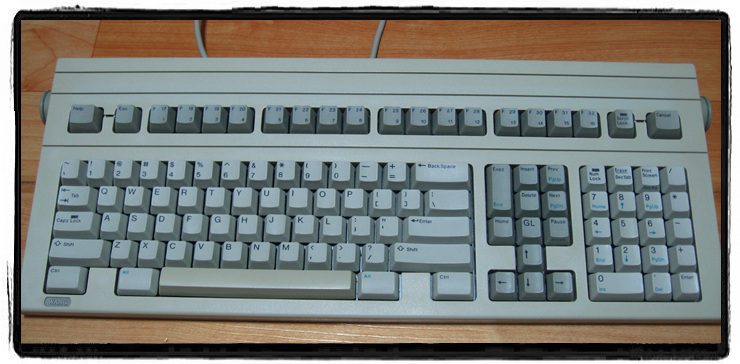 wang_01.jpg