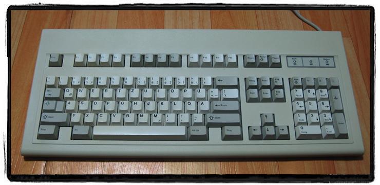 cherry_02.JPG