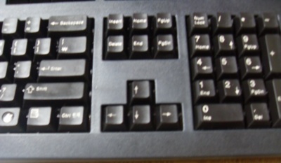 SDC17558.jpg