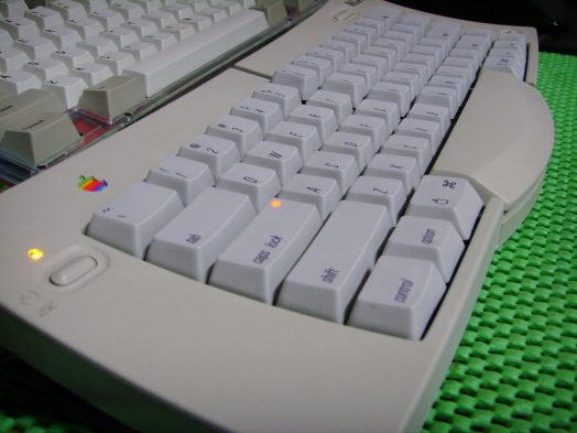 1SSL23460.JPG