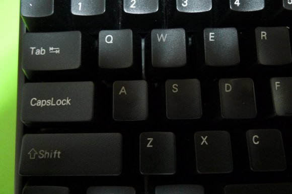P1020225.jpg