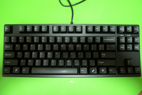 P1020205.jpg