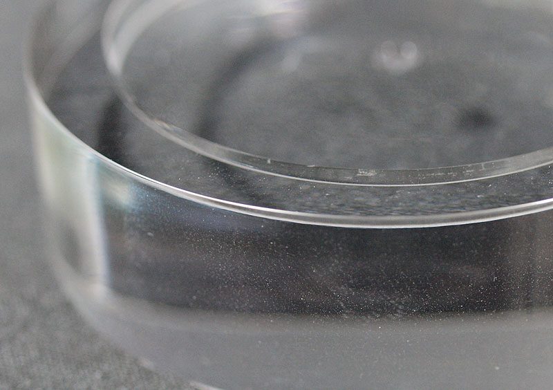 p6.JPG