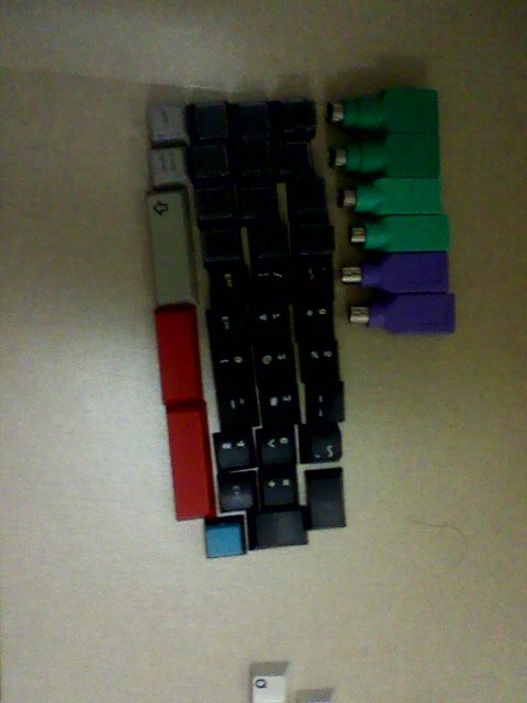 Photo2487.jpg