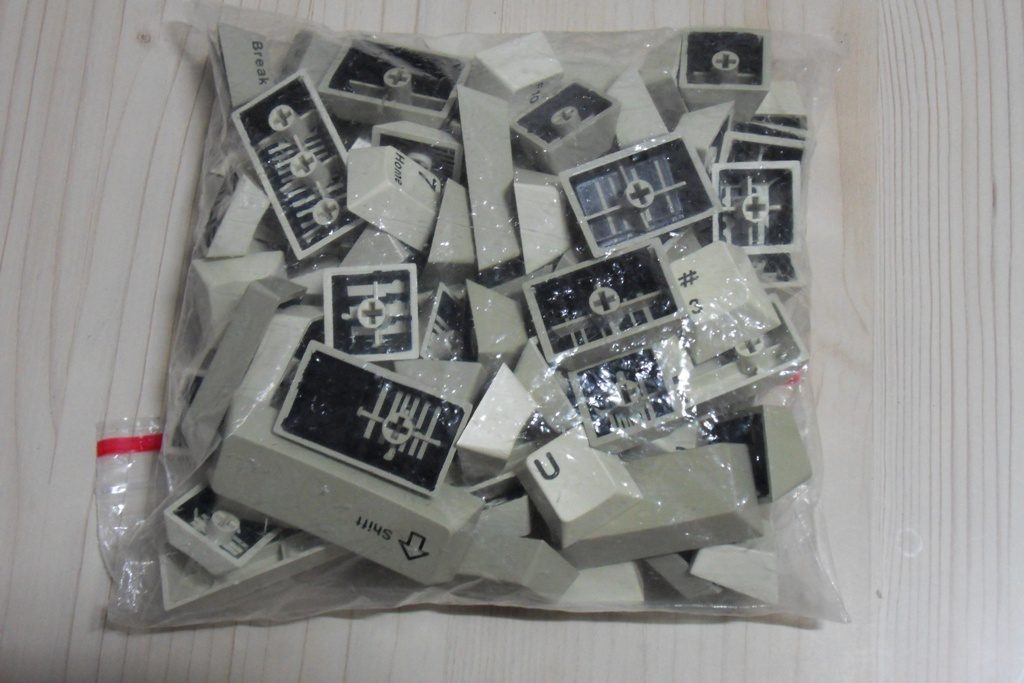 1000투톤이색.JPG