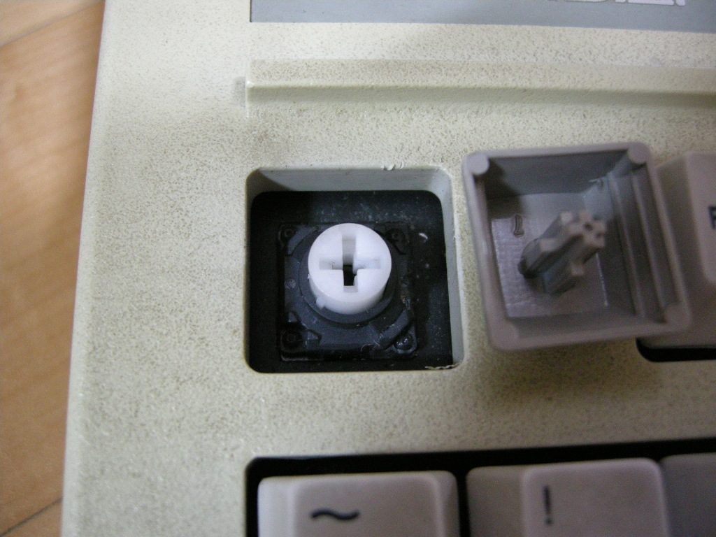 re_DSCN8682.JPG