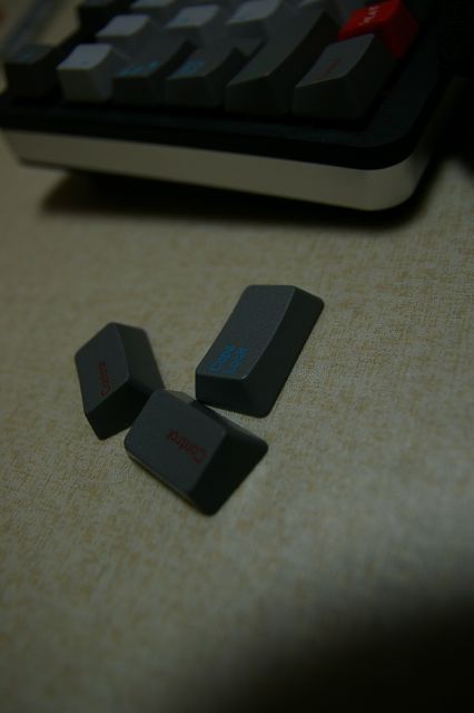 SG1S9576.jpg