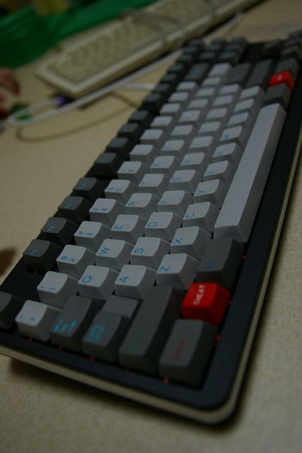 SG1S9575.jpg