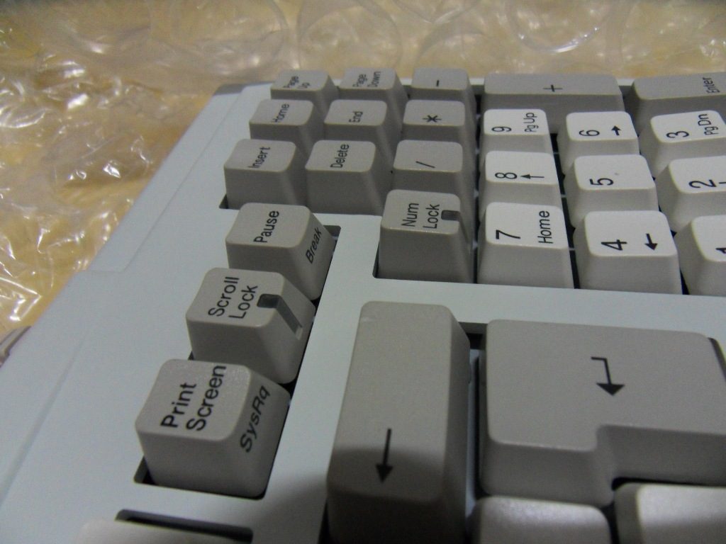 SDC11209.JPG