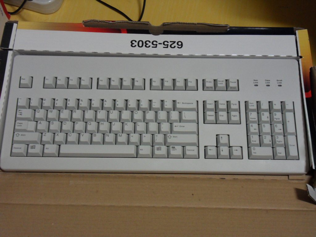 SDC11240.JPG