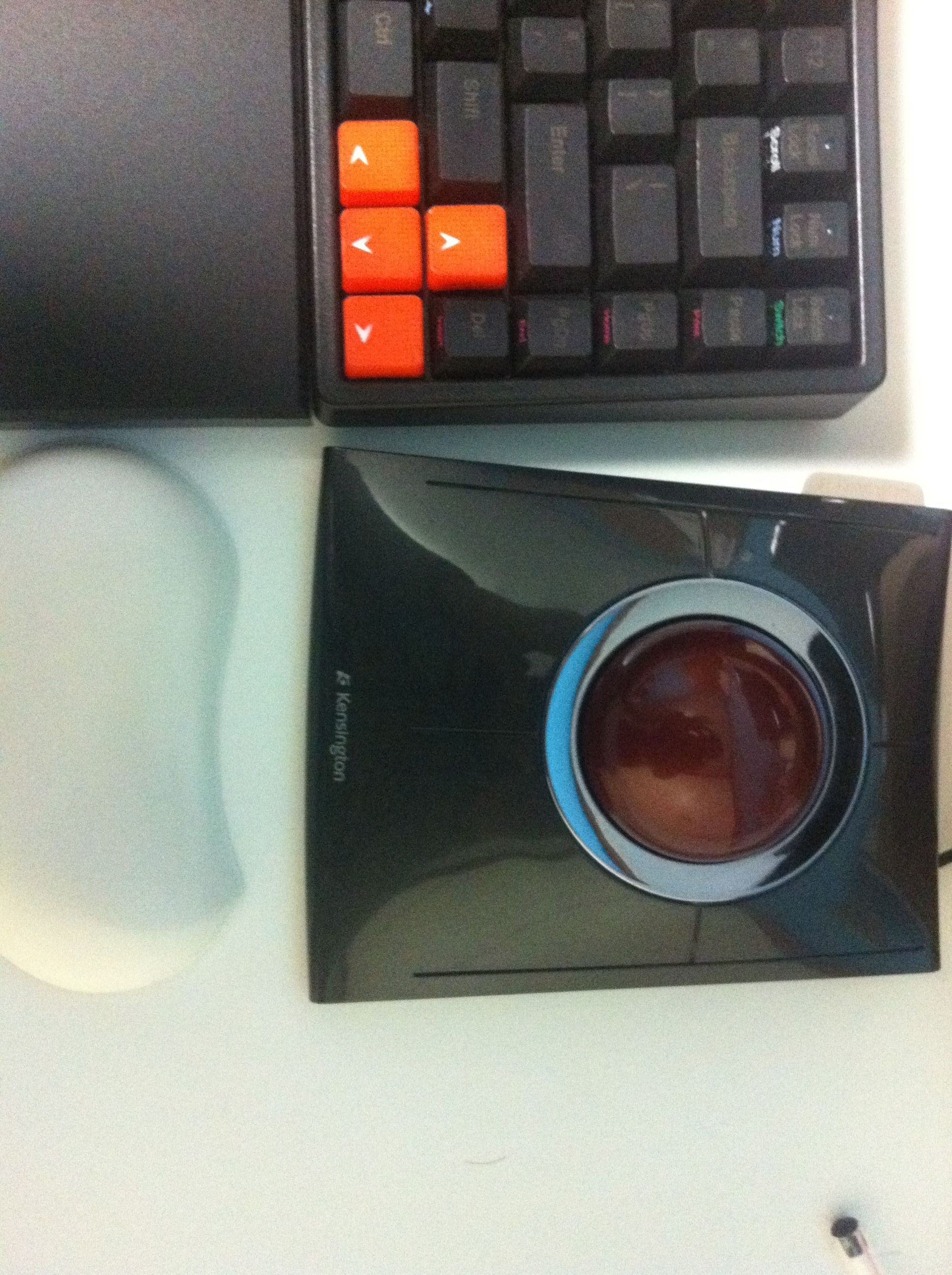 사진 545.jpg