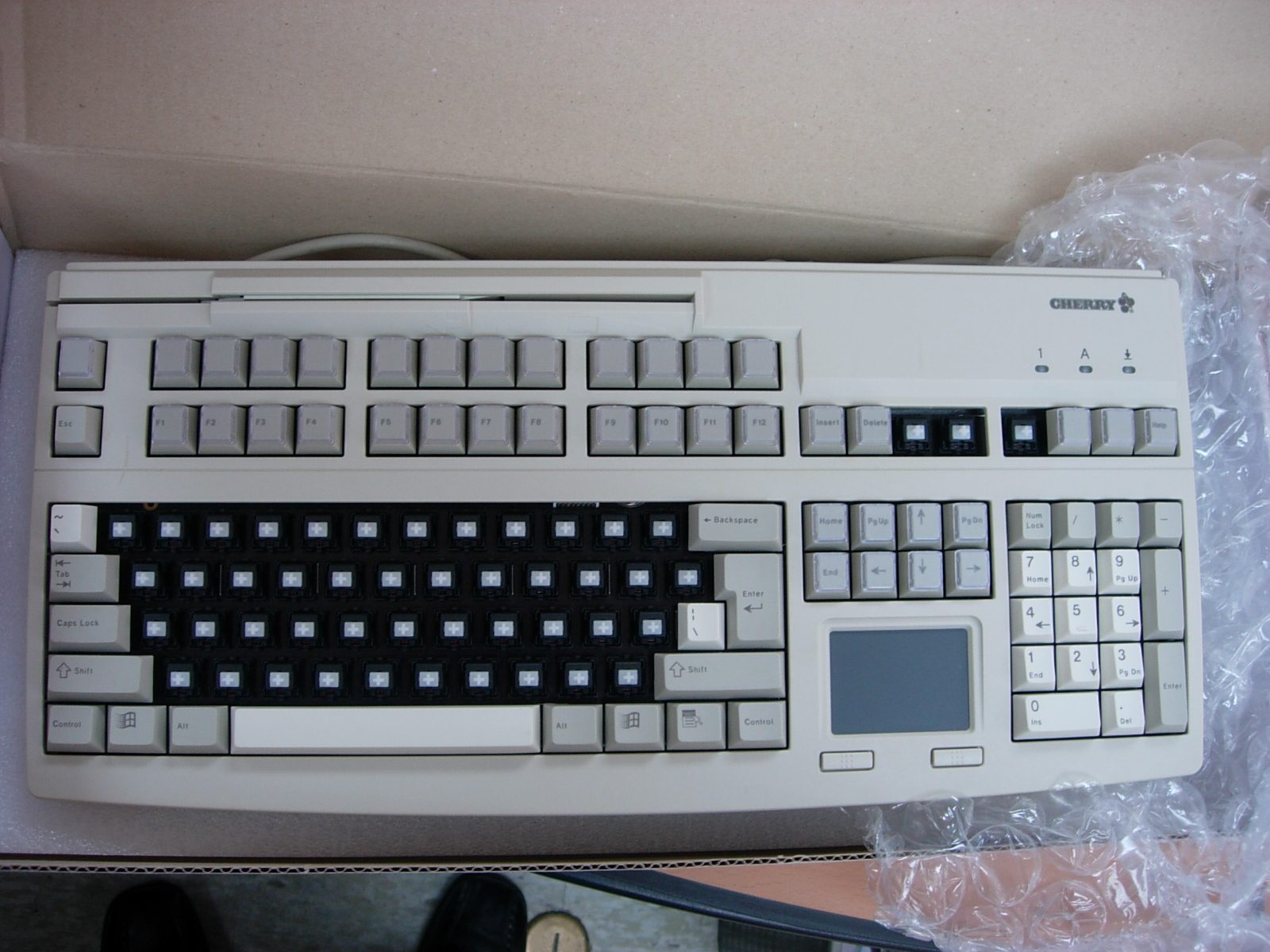 DSCN9155.JPG