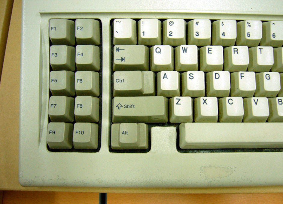 P1100778.jpg