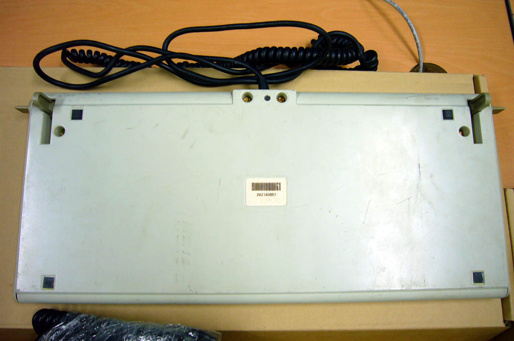 P1100783.JPG