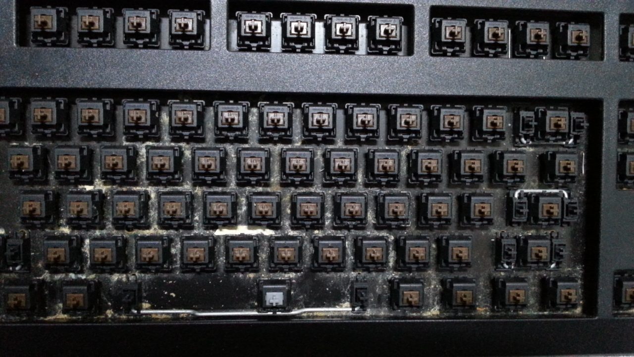 201115.jpeg