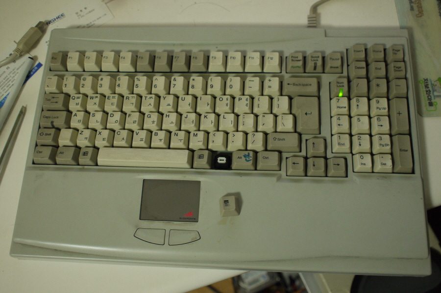P1010445.JPG