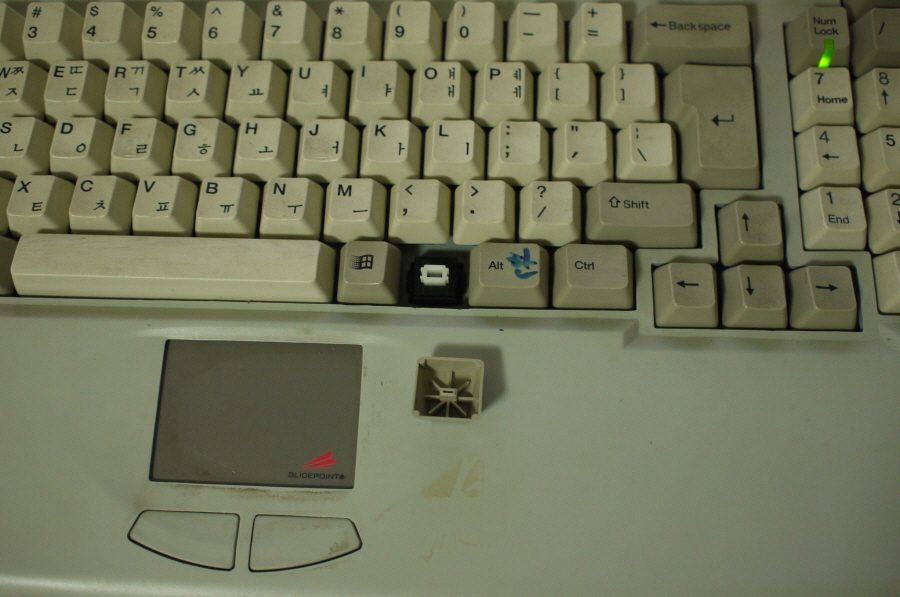P1010447.JPG