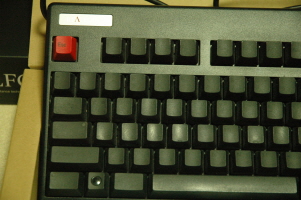 real02.JPG
