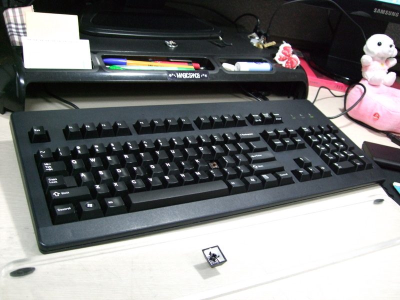 DSCF3181-1.JPG