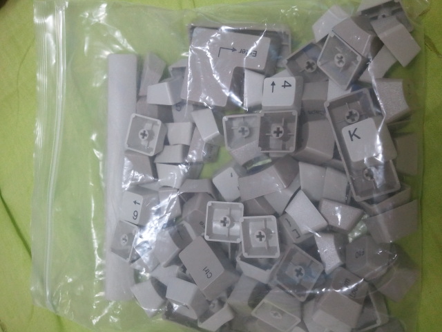 2011-11-19 15.58.20.jpg