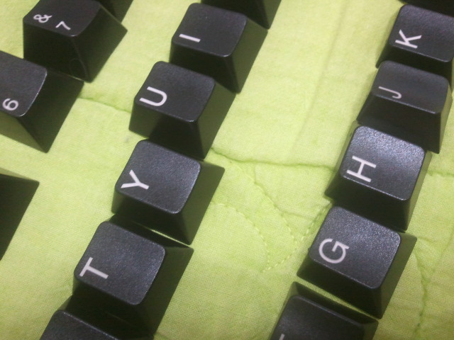 2011-11-19 16.08.38.jpg