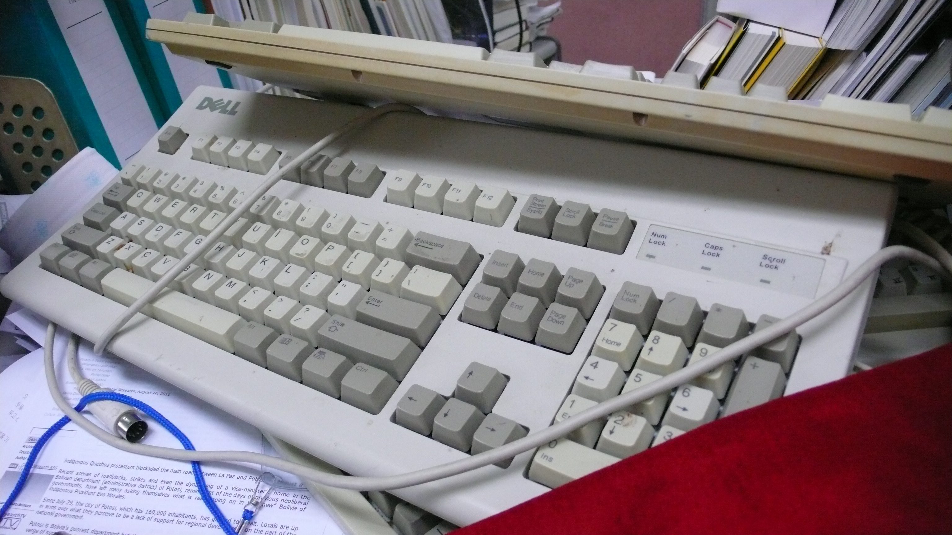 P1030426.JPG