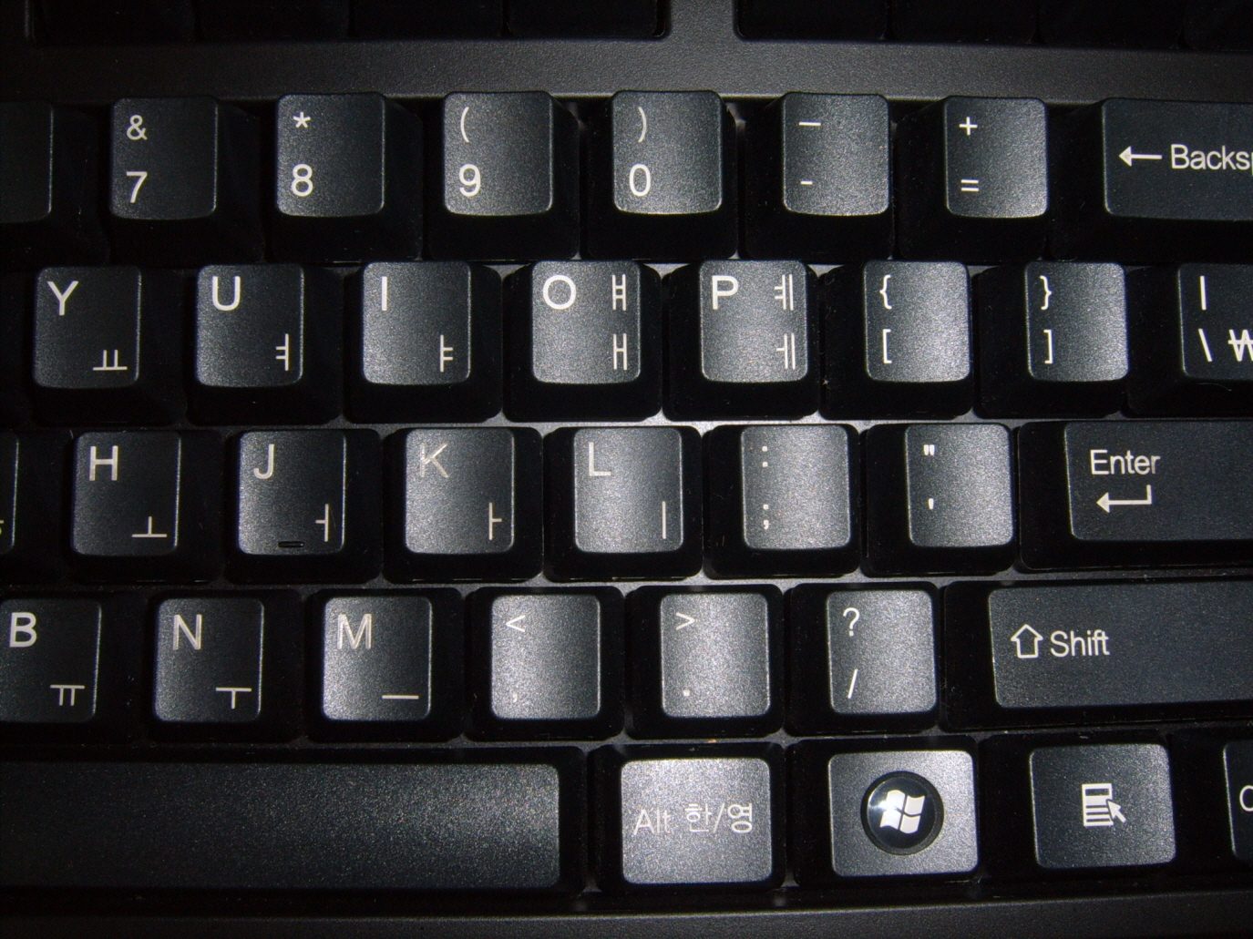aaSUC52768.JPG