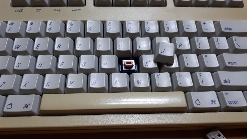 20190511_213922s.jpg