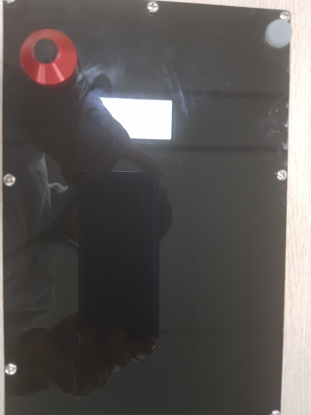 back_1.jpg