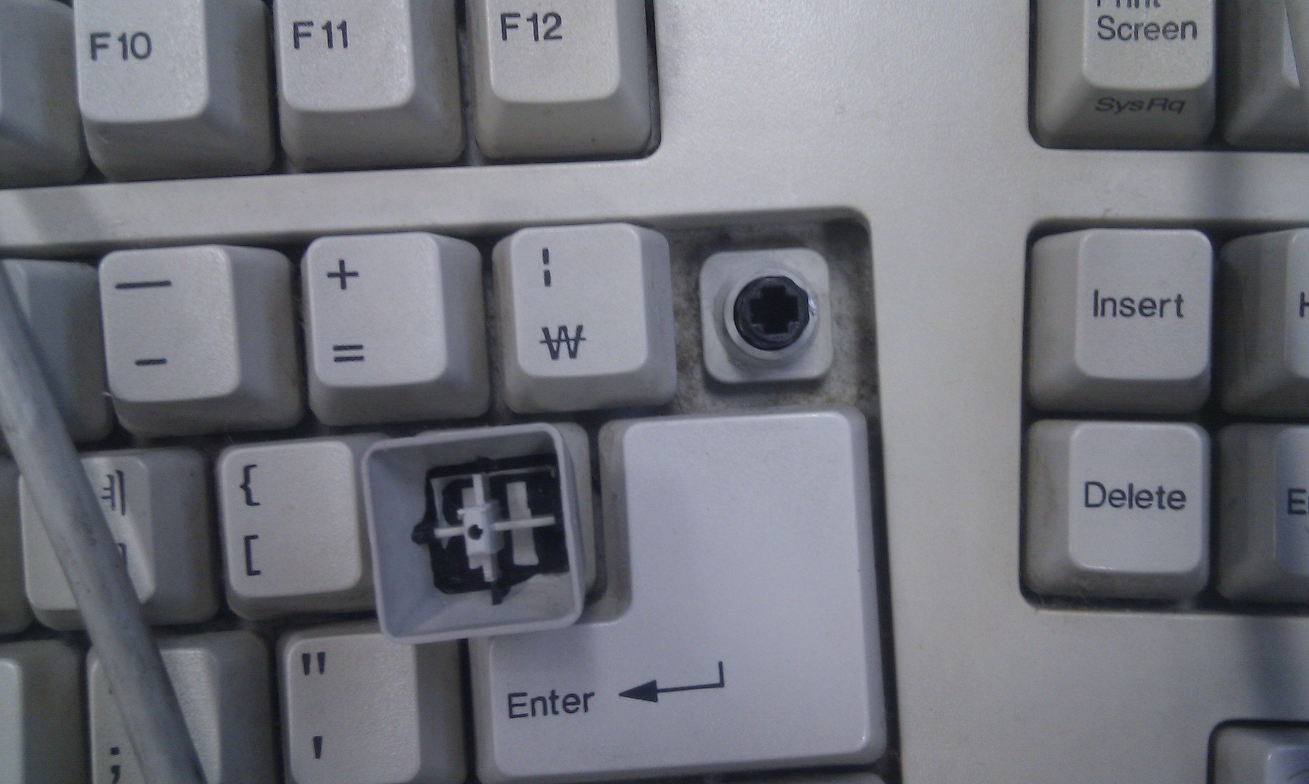 IMAG0081.jpg