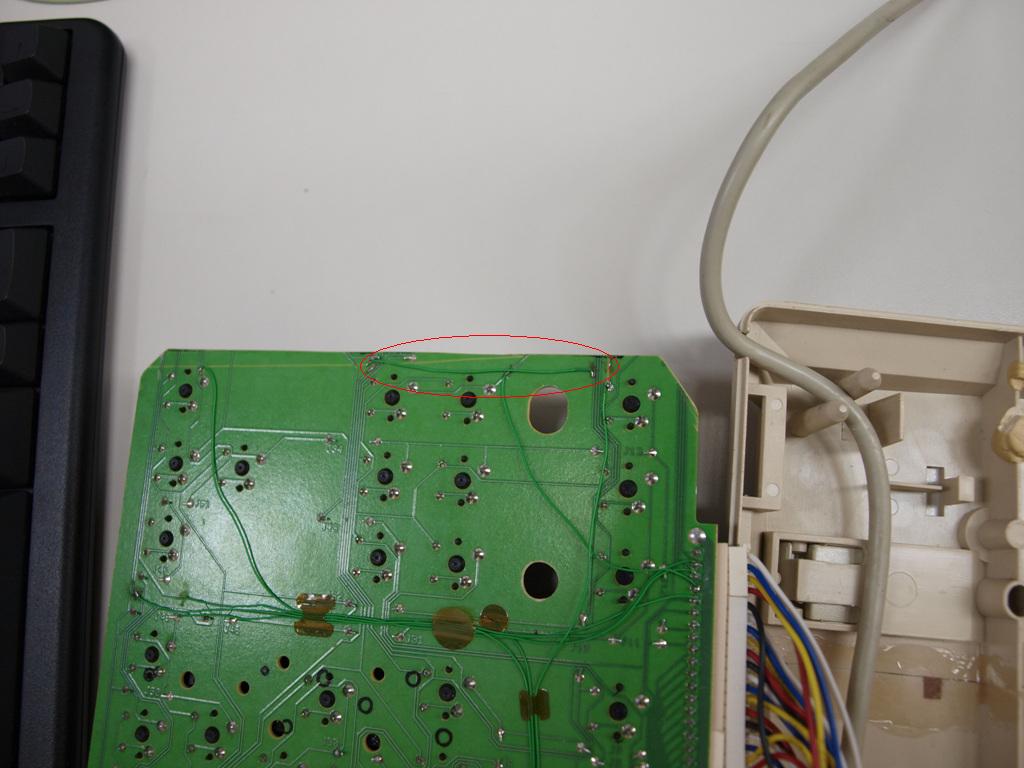 S5175608.jpg