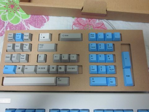 크기변환_IMG_0107.JPG : 리얼포스 균등 화이트 + 블루키캡 1set 판매합니다