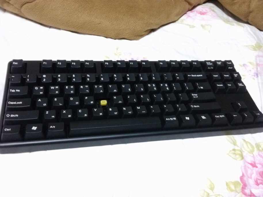 크기변환_황축.jpg
