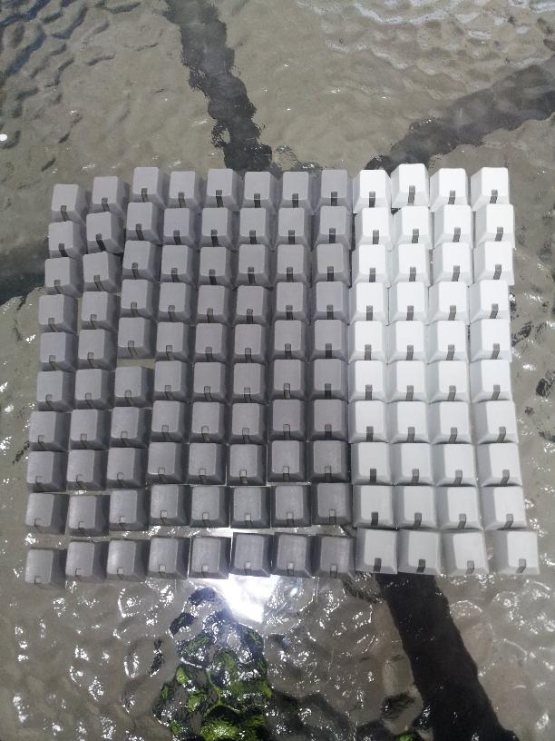 대륙Led.jpg