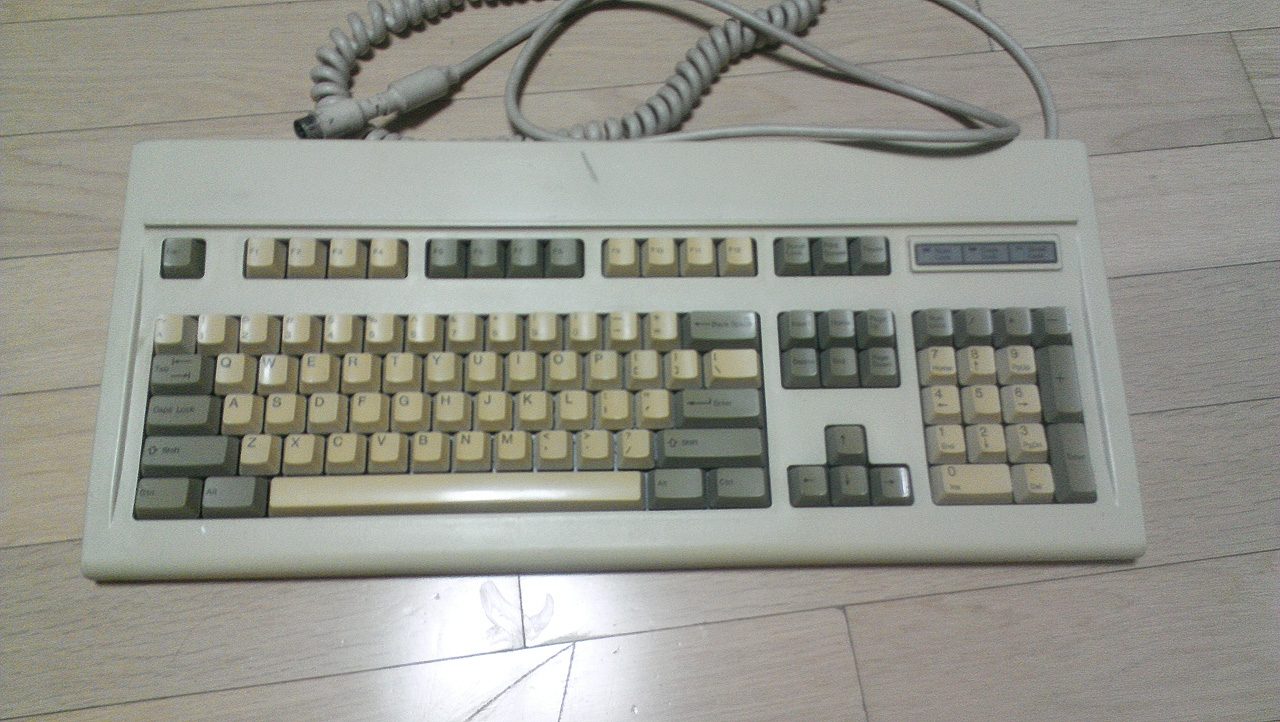 NEC00.jpg
