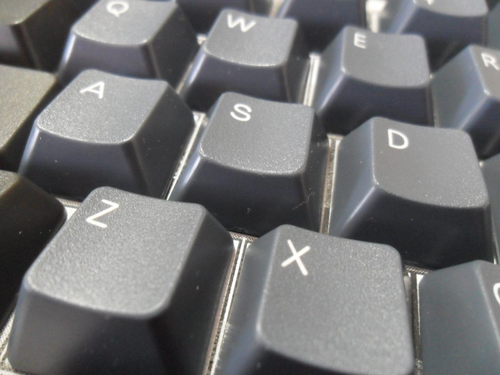 SAM_3577.JPG