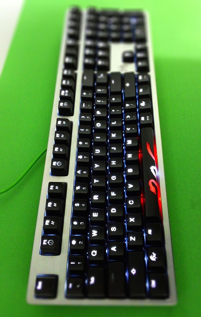 CAM01907_resize-tiltshift.jpg