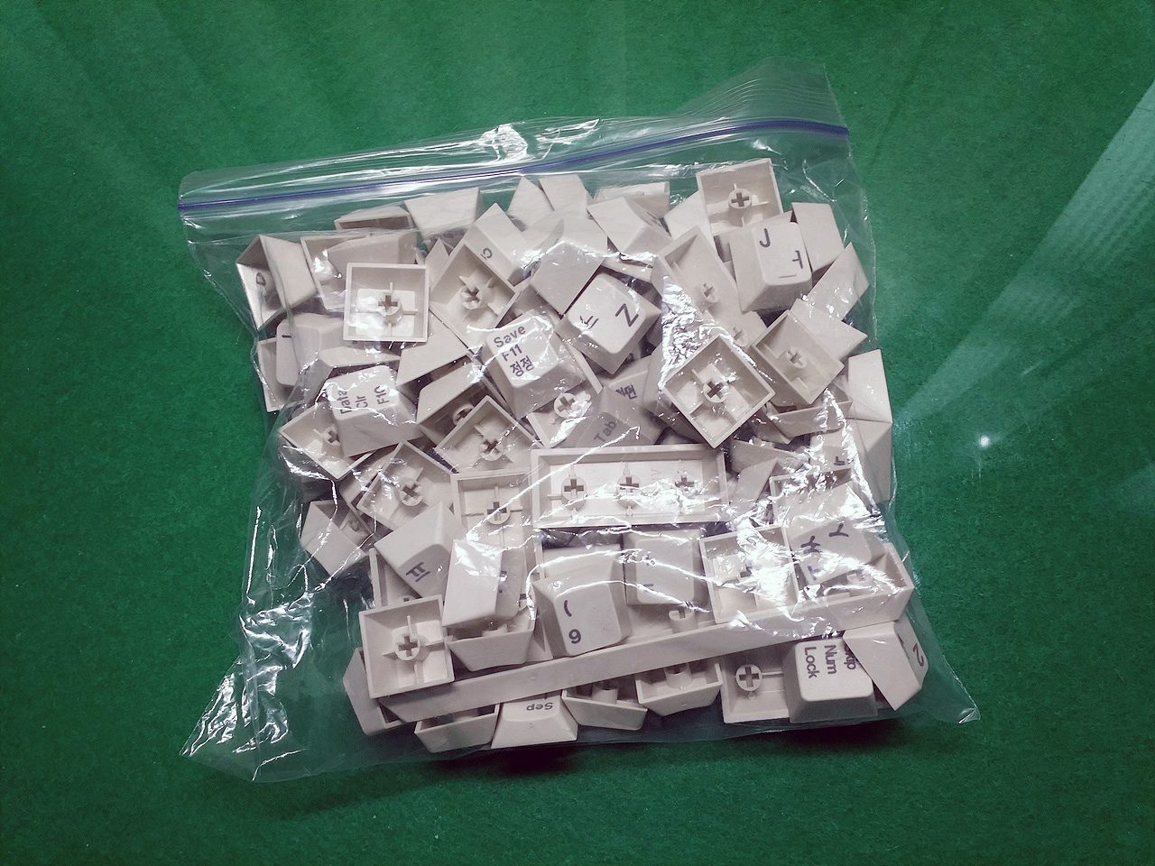 주옥션.jpg