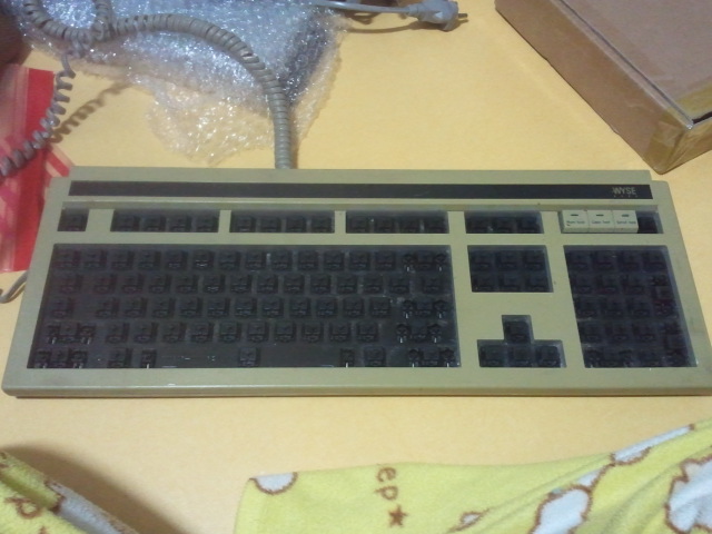 2012-02-05 00.00.24.jpg
