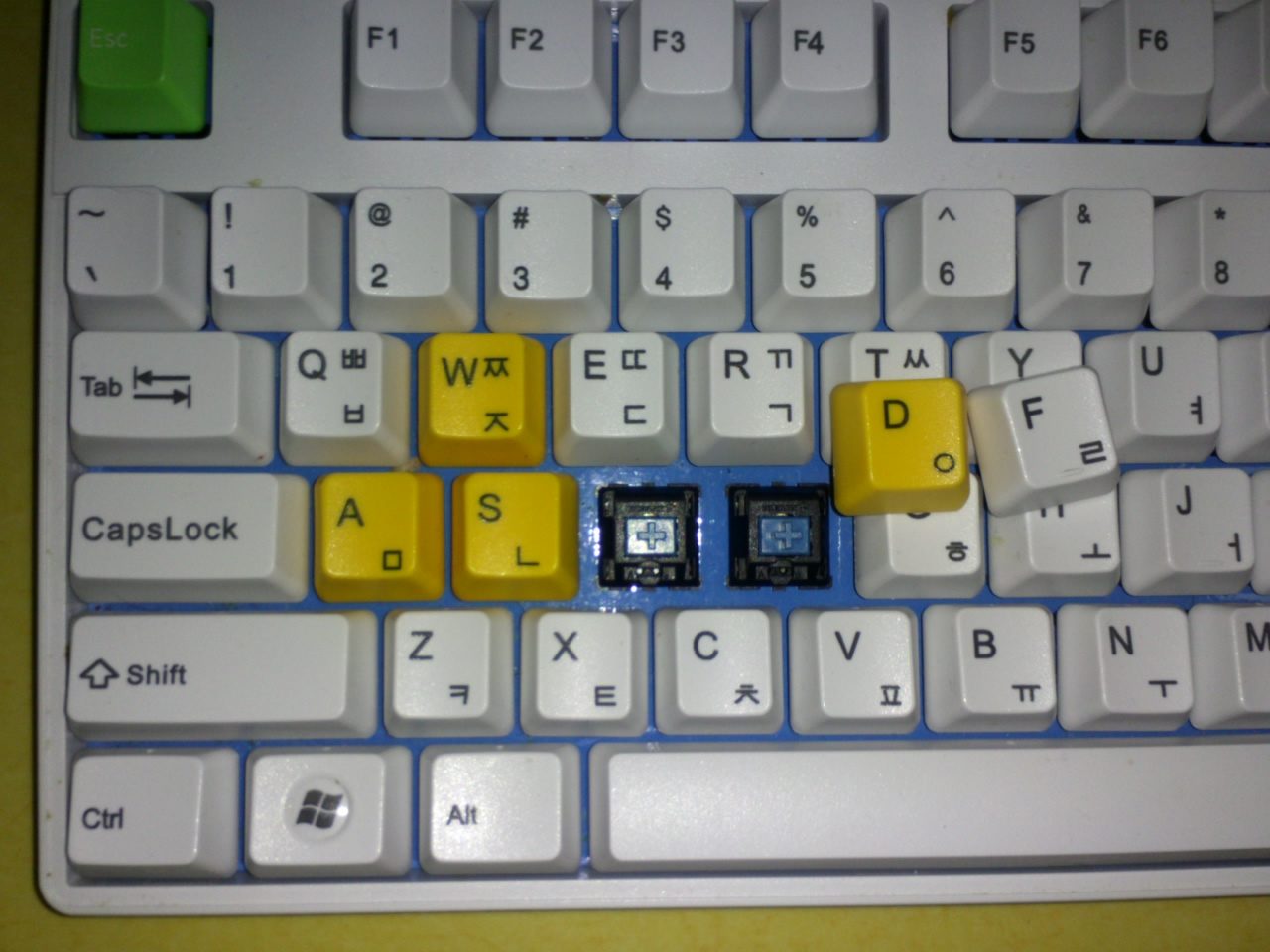 P121030_201410.jpg : 산토리니 청축+초록 키캡(wasd,방향키,esc) + 노랑 키캡(wasd,방향키,esc) 판매합니다. P121030_201410.jpg : 산토리니 청축+초록 키캡(wasd,방향키,esc) + 노랑 키캡(wasd,방향키,esc) 판매합니다.