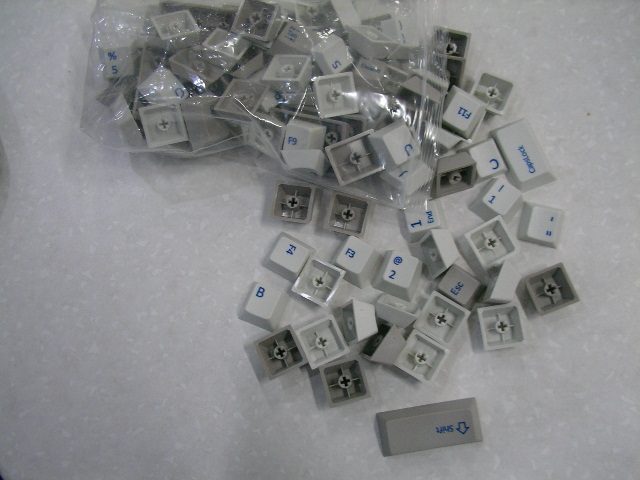SANY0026.JPG