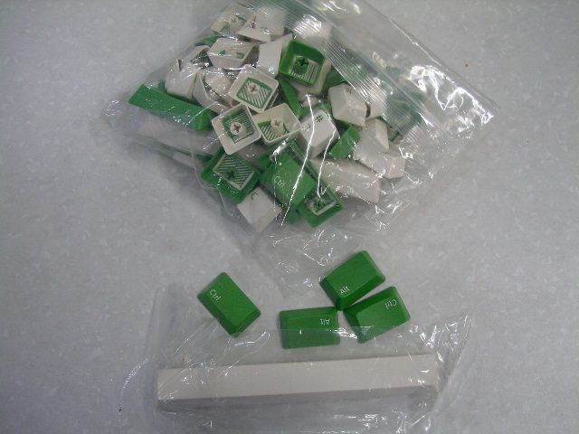 SANY0014.JPG