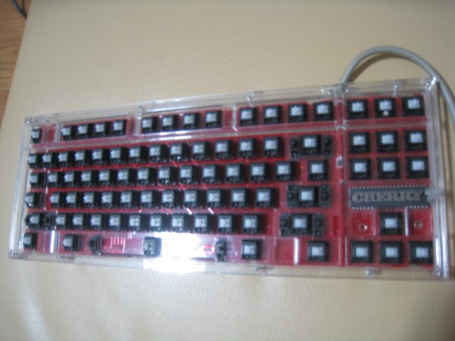 356.JPG