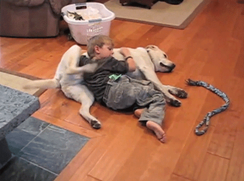 801a4361be70bbccbe28f551e3ad5d8b.gif